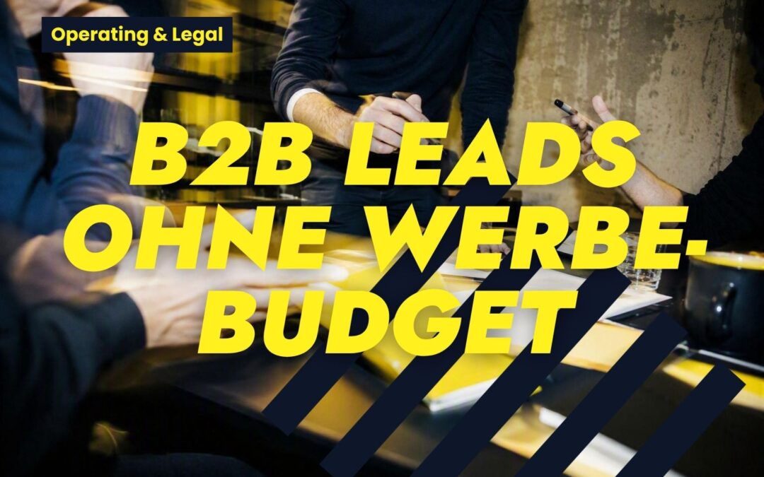 B2B Leads ohne Werbebudget